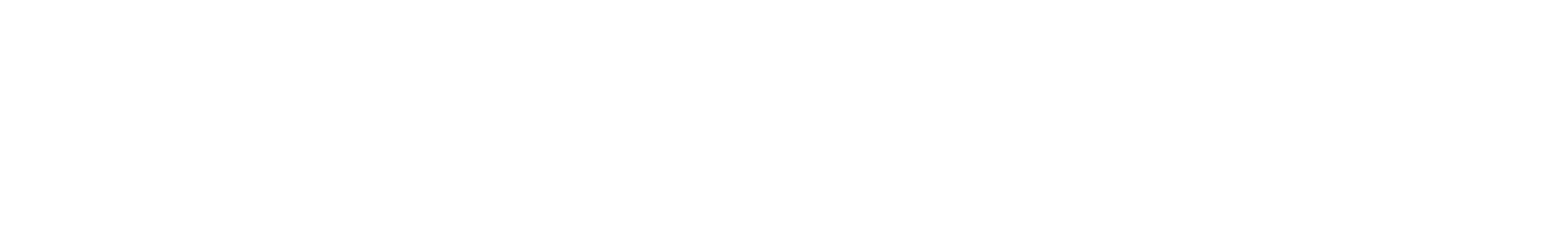Main Logo